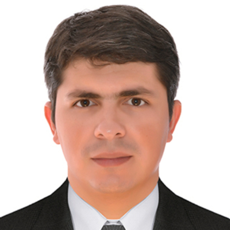Carlos Andres Soto Molina